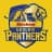 Siechem Madurai Panthers-logo