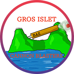 Team logo