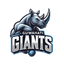 Team Logo