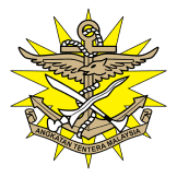 Team logo