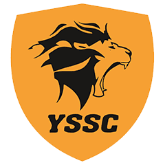 Team logo