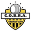 Cobra Cricket Club Flag