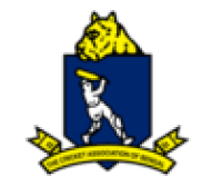 Team logo