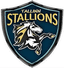 Tallinn Stallions Flag