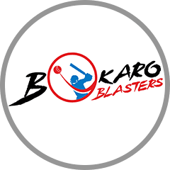 Team logo