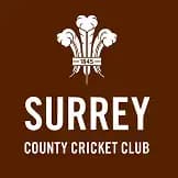 Team logo