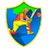 Warriors Women Flag