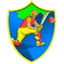 Warriors Women Flag