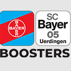 Team logo