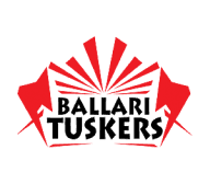 Team logo