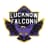 Lucknow Falcons Flag