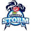 Team logo
