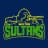 Multan Sultans-logo