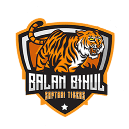 Team logo