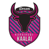 Team logo