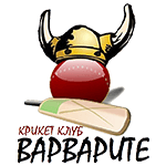 Team logo