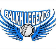 Team logo