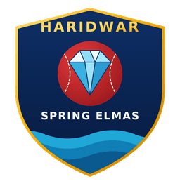 Team logo