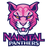 Team logo