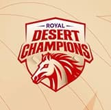 Team logo