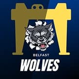 Team logo