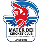 Team logo