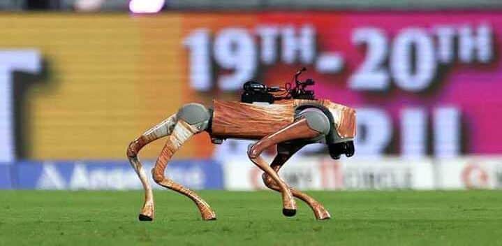 Champak Children’s Magazine Publisher Drags BCCI to Court Over IPL’s Robotic Dog Name