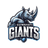 Guwahati Giants Flag